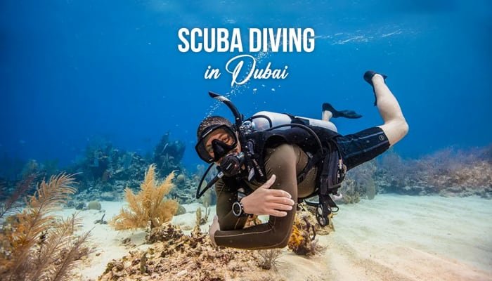 Dubai Scuba Dive