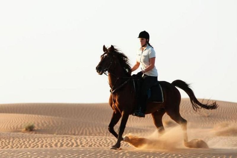Horse Ride View 2