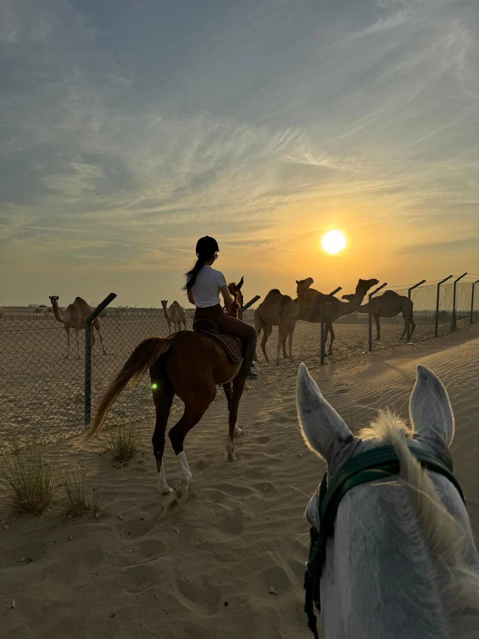 Horse Ride View 3