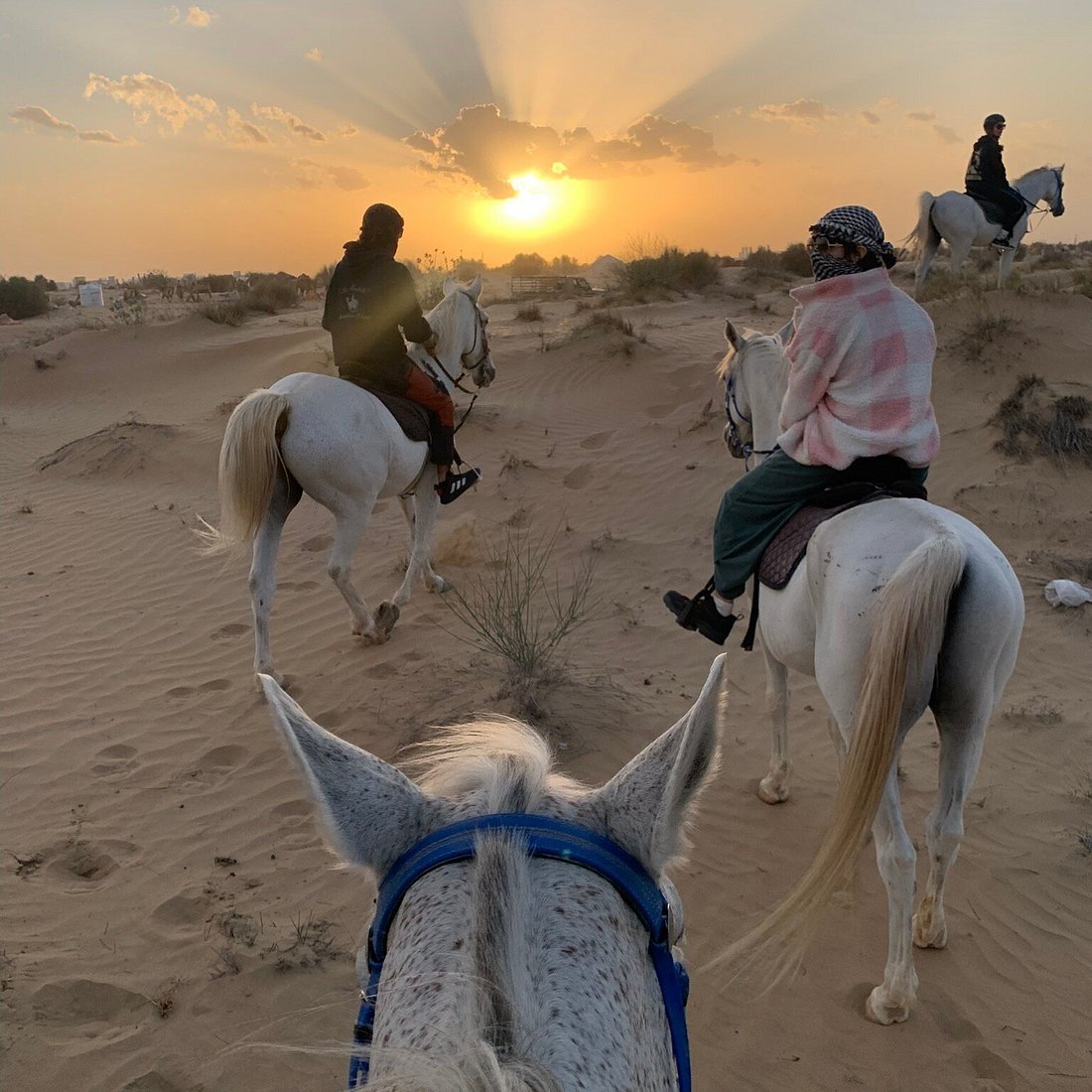 Horse Ride View 4