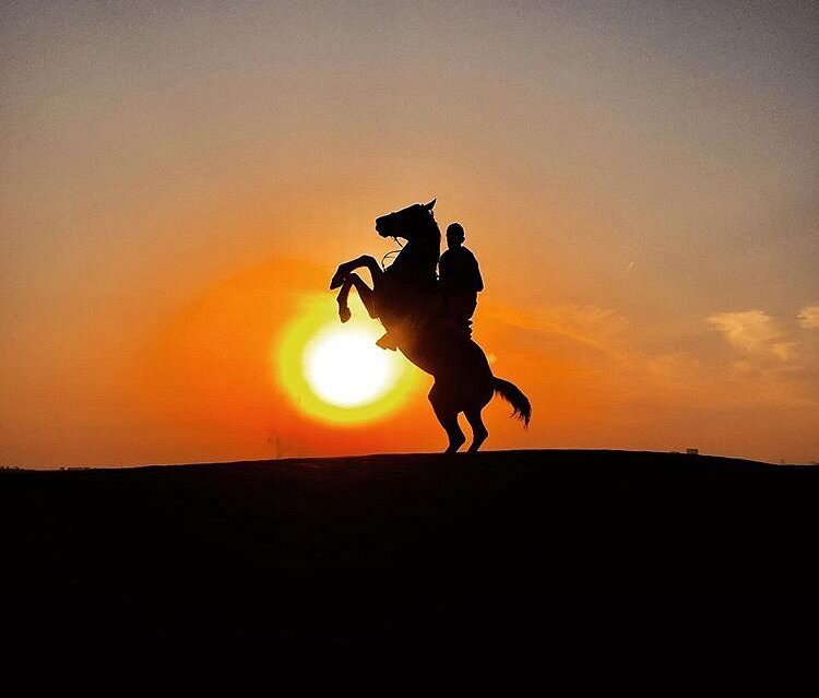Horse Ride View 5