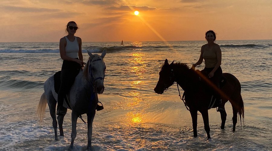 Horse Ride View 7