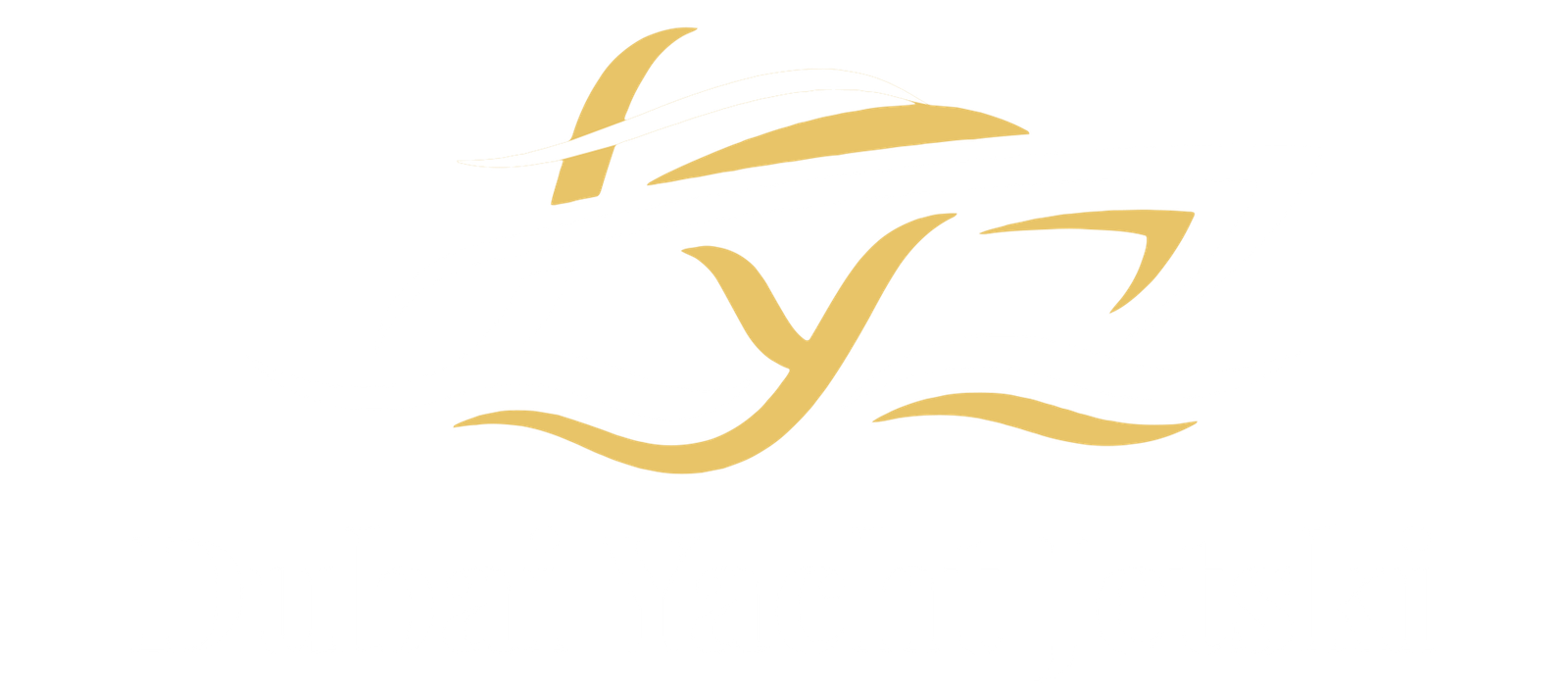 Dubai Yacht Jetski